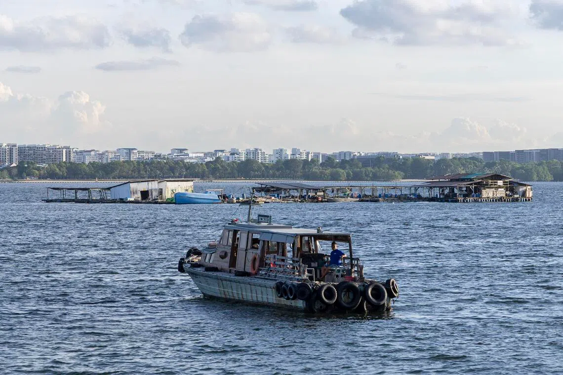 A new research and development centre will be set up here to create more nutritious feed for barramundi, red snapper and shrimp, among others, to help local farms increase their yield.