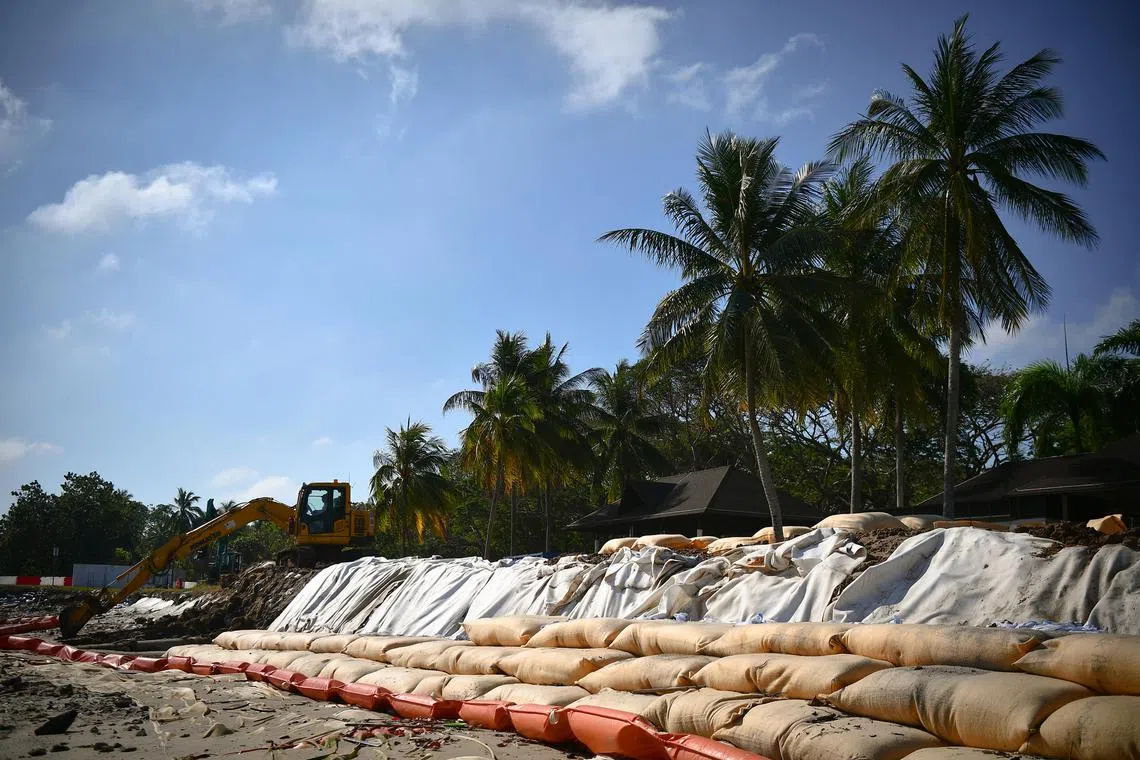 Restoration of shoreline at Pasir Ris Park using sand-filled geotextile containers forming soft rock revetment.