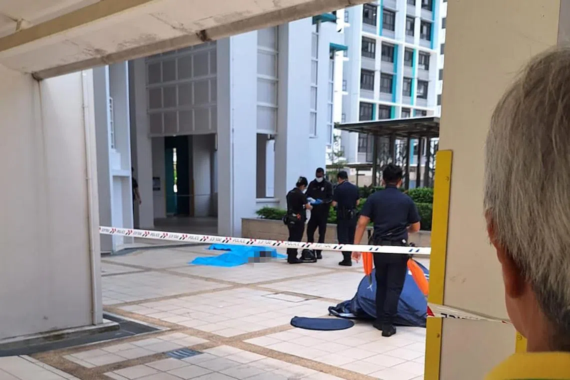 pixeunos06/ Follow-up on a 33-year-old woman and a one-year-old infant were found dead at the foot of a Housing Board flat in Eunos on Sunday afternoon. The woman and the baby were found lying motionless and were pronounced dead at the scene.