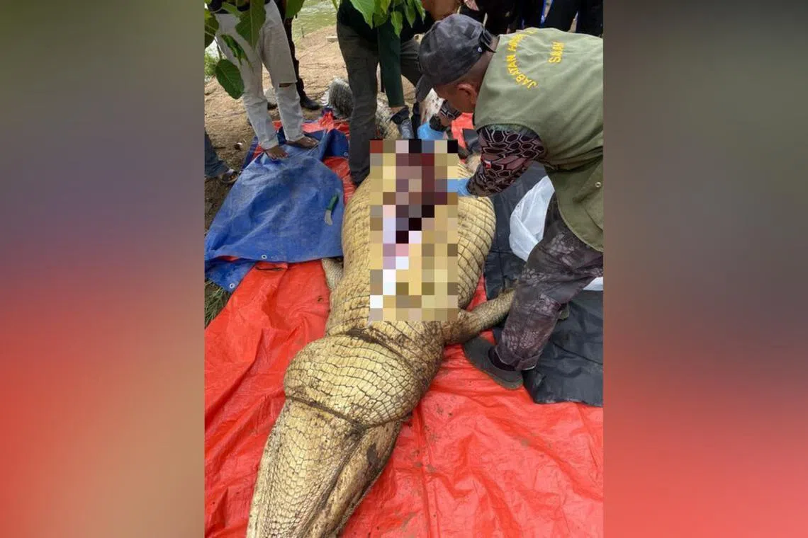 The man was attacked by a crocodile while getting to his boat on the river at about 4am on July 19.