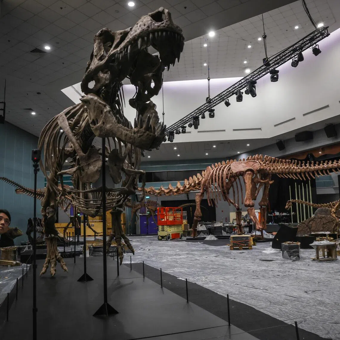 ldinosaur/ST20251002_202570400649/Gin Tay
Behind-the-scenes look into the assembly of a 40-metre life-size cast of the Patagotitan mayorum, which belongs to a group of dinosaurs called titanosaurs. It will be on display at the Science Centre from 11 October. We need more pix of the finished patagotitan