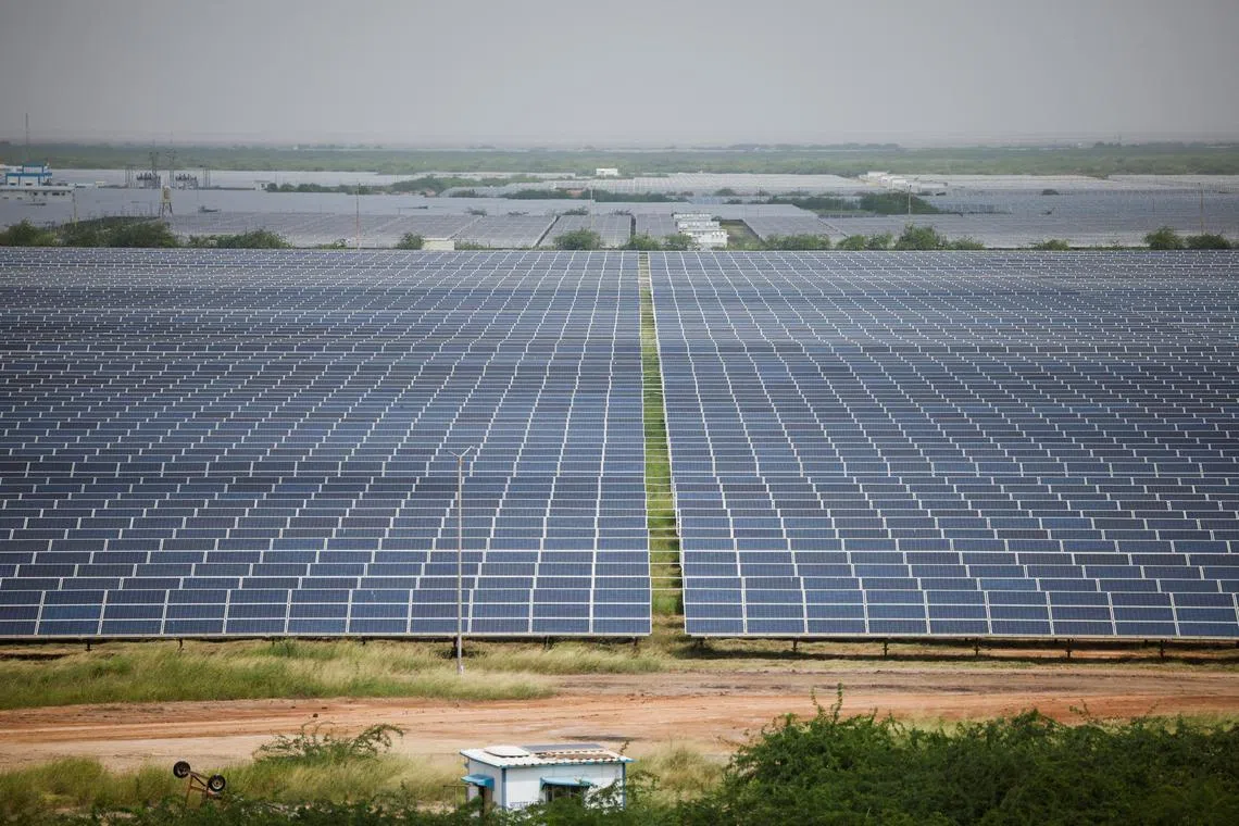 A general view of solar panels at Gujarat Solar Park also called Charanka Solar Park at Patan district in Gujarat, India September 12, 2024. REUTERS/Amit Dave