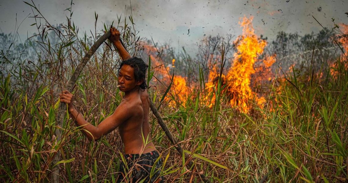 Indonesia fires have burned nearly two million hectares: Monitor