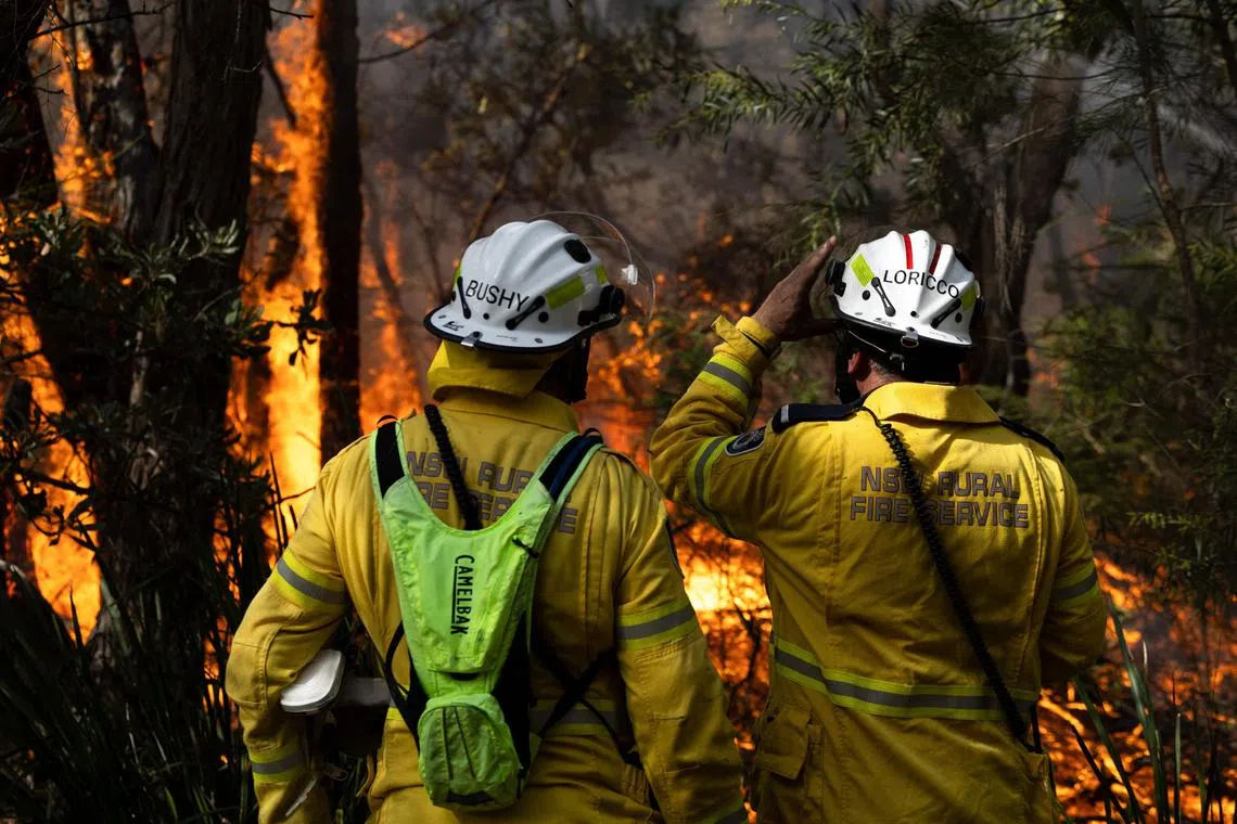 Volunteer firefighters monitoring a hazard reduction burn in north Sydney on July 15. Australian authorities are warning of a growing risk of severe bushfires.