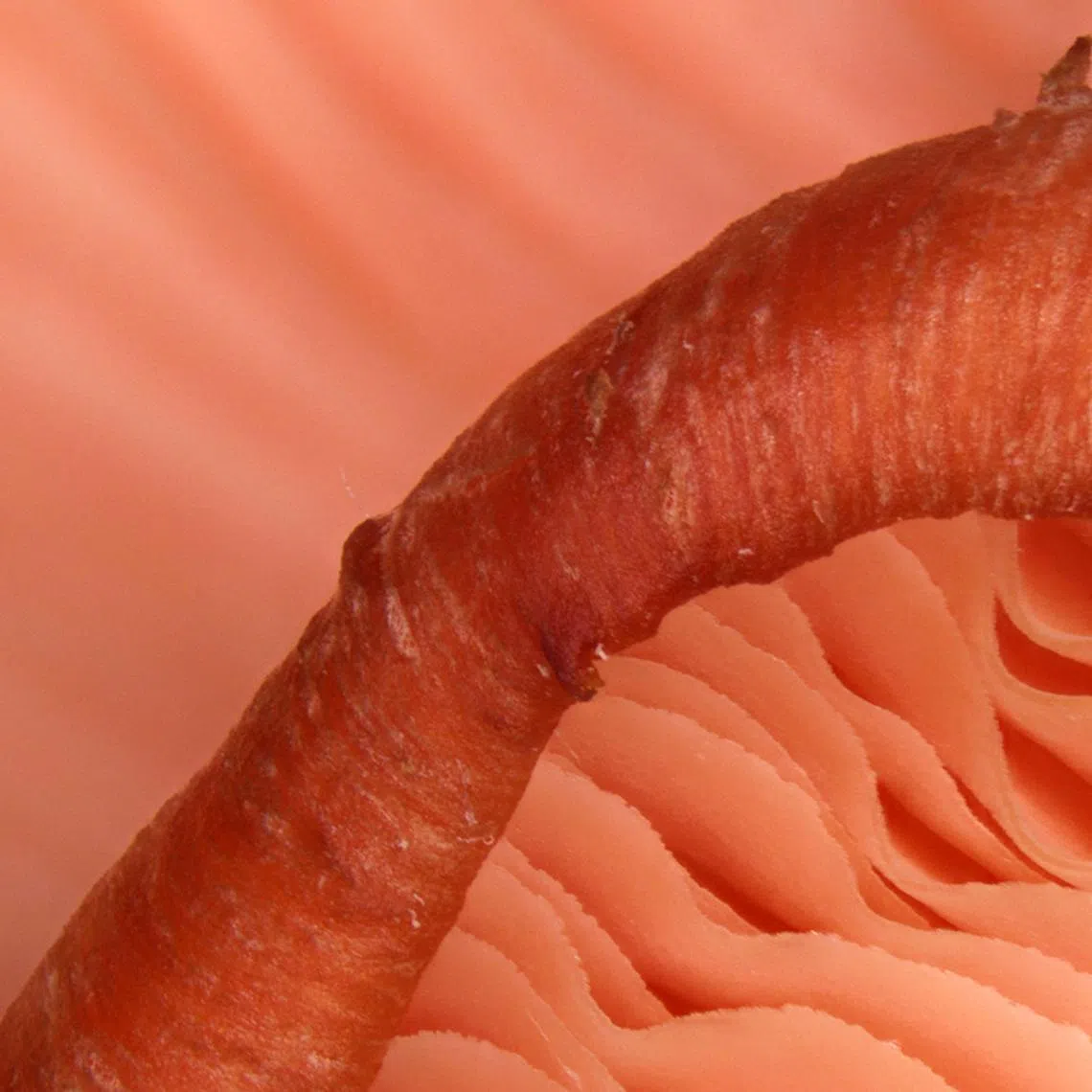 ST20250219_202530400267/asfood26/Ashleigh Sim/Neo Xiaobin
/This pastel-hued marvel is among the fastest-growing among its kind, reaching maturity in just five to seven days. Though its pink hue fades when cooked, its rich flavour lingers. ST PHOTO: NEO XIAOBIN

/In resource-scarce Singapore, food security remains a significant challenge. With under 10 per cent of our food produced locally, Singapore is reassessing our strategy to produce one-third of its nutrition locally by 2030, studying productivity, cost, and demand issues. The Straits Times takes a closer look at locally-grown food through a microscope, uncovering the beauty of our locally-grown produce that often goes unnoticed.

/Location: Nikon Imaging Center, 11 Biopolis Way, #01-02 Helios Building, S138667