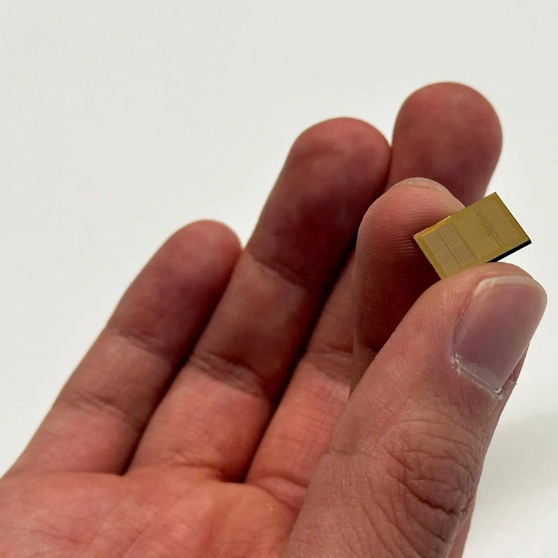 Semiconductor exports rose 173% from a year earlier, buoyed by rising contract prices for memory chips.