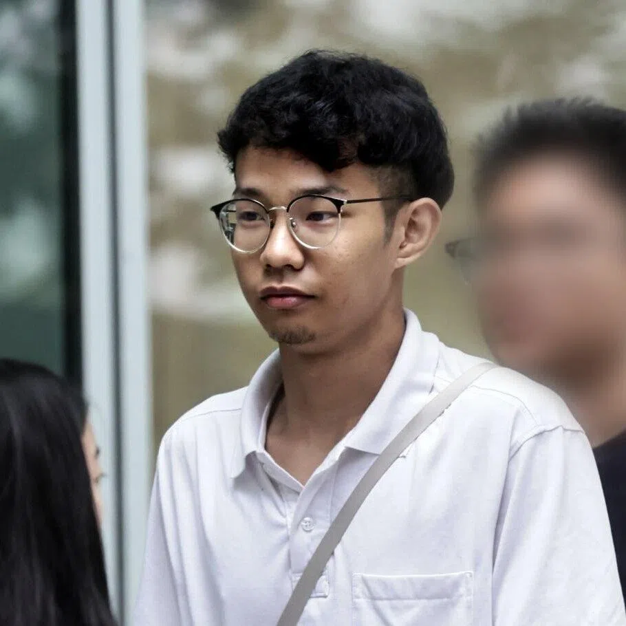 On Jan 28, Putra Nur Iman Muhammad Danial Zhang pleaded guilty to one charge of causing death by performing a negligent act.