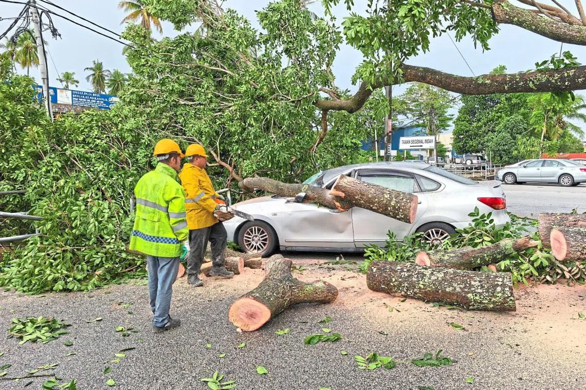 Volunteers sawing off fallen branches after they fell on a parked car in Butterworth, Penang. 