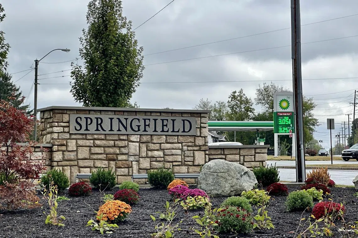 bgcats - Springfield Ohio


Credit: Bhagyashree Garekar