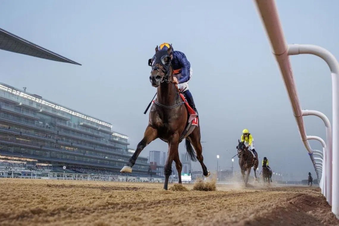 Dubai G1 winners usher in New Year