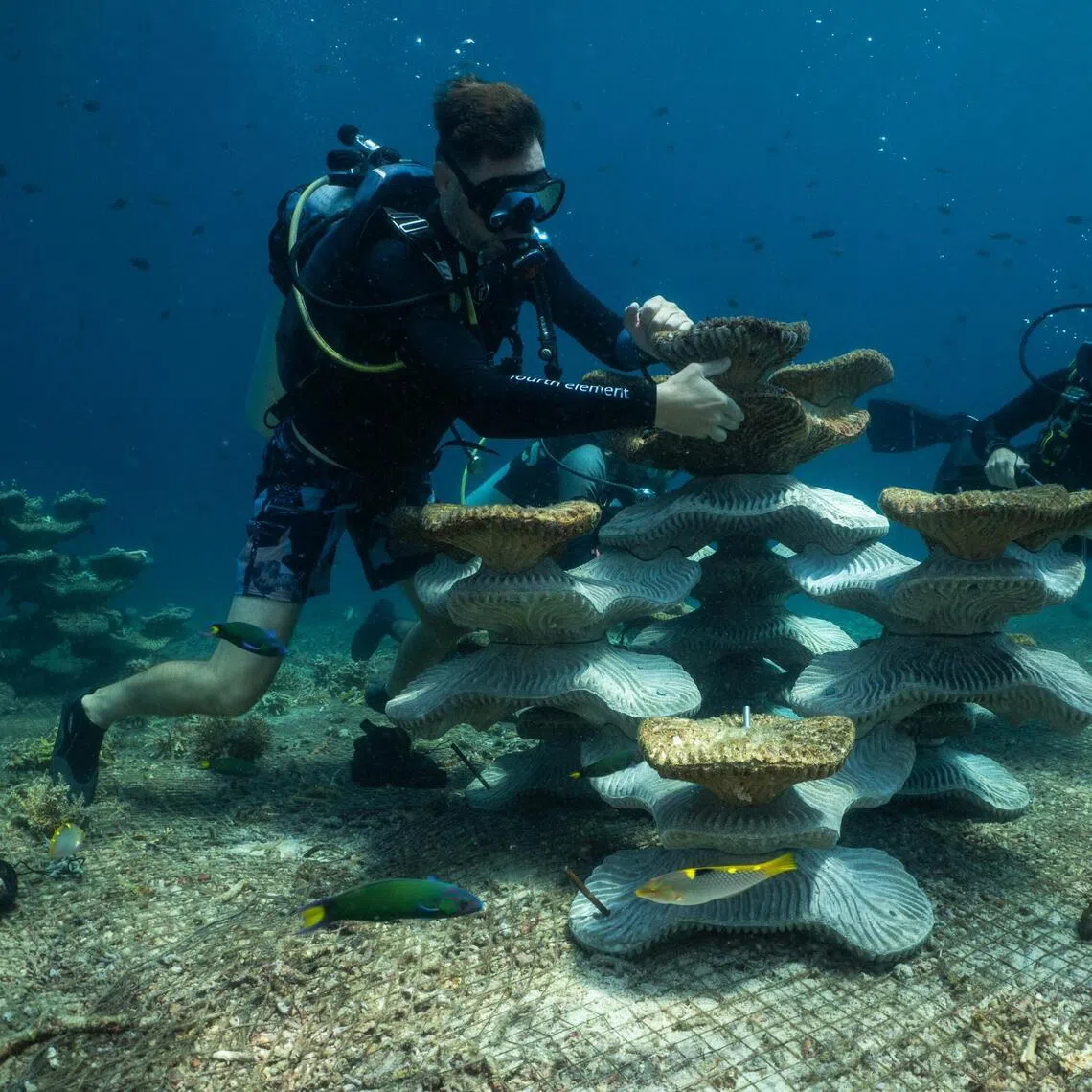Robin Philippo and a fellow diver from the Tropical Research and Conservation Center assemble a Modular Artificial Reef Structure on the reef slope of Pom Pom Island in north-eastern Malaysia.
