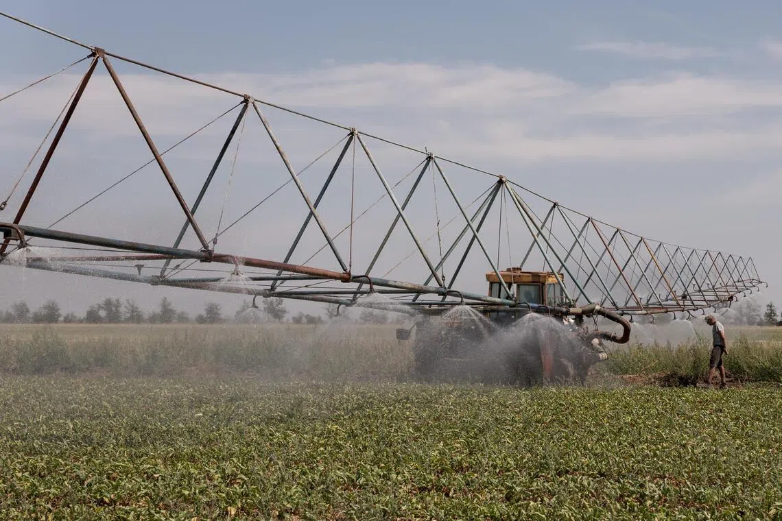 Wars, droughts, trade rows push world food prices to four-year high