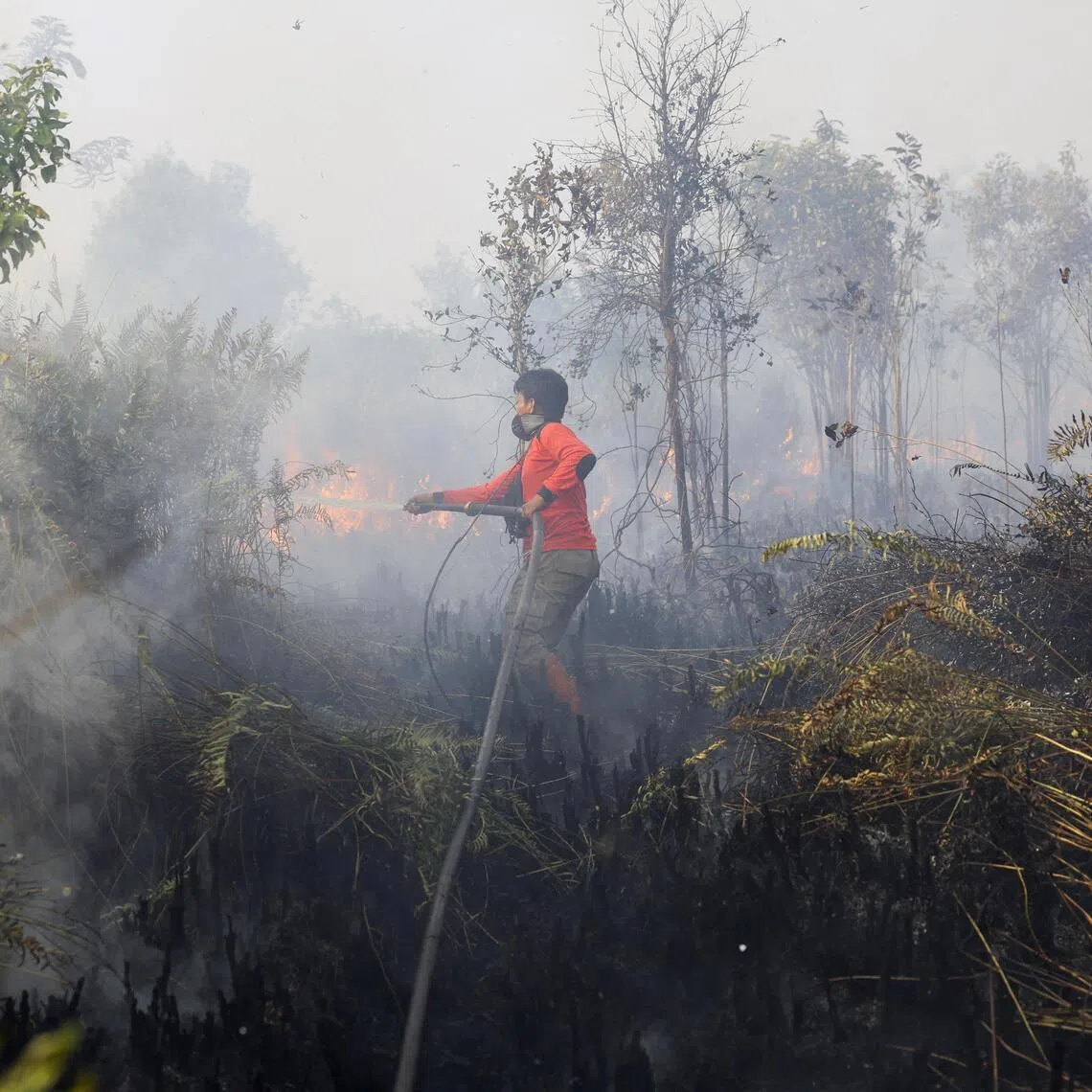 A member of a volunteer group extinguishing a wildfire in Indonesia’s Central Kalimantan province on Aug 14.