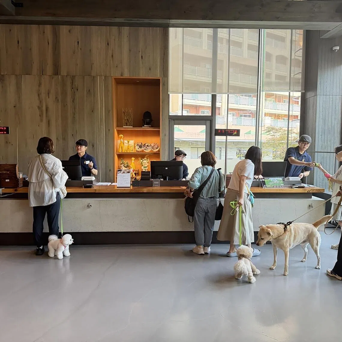 Sono Pet Club & Resort at Vivaldi Park in Hongcheon, Gangwon Province, has plenty of pet-friendly amenities.