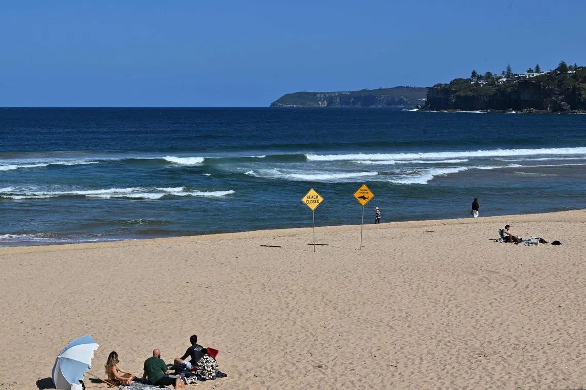The experienced surfer was pulled from the water by other surfers, but had lost too much blood and died at the scene.