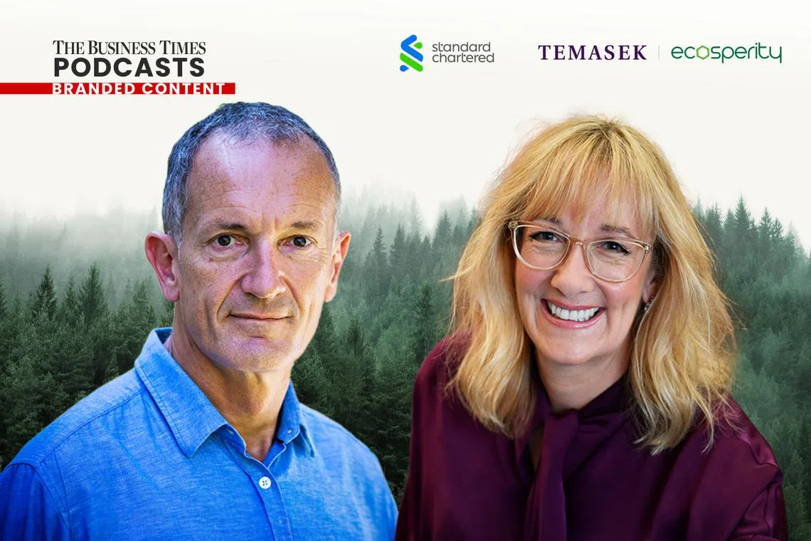 How can organisations contribute to the global effort of decarbonisation and sustainability?