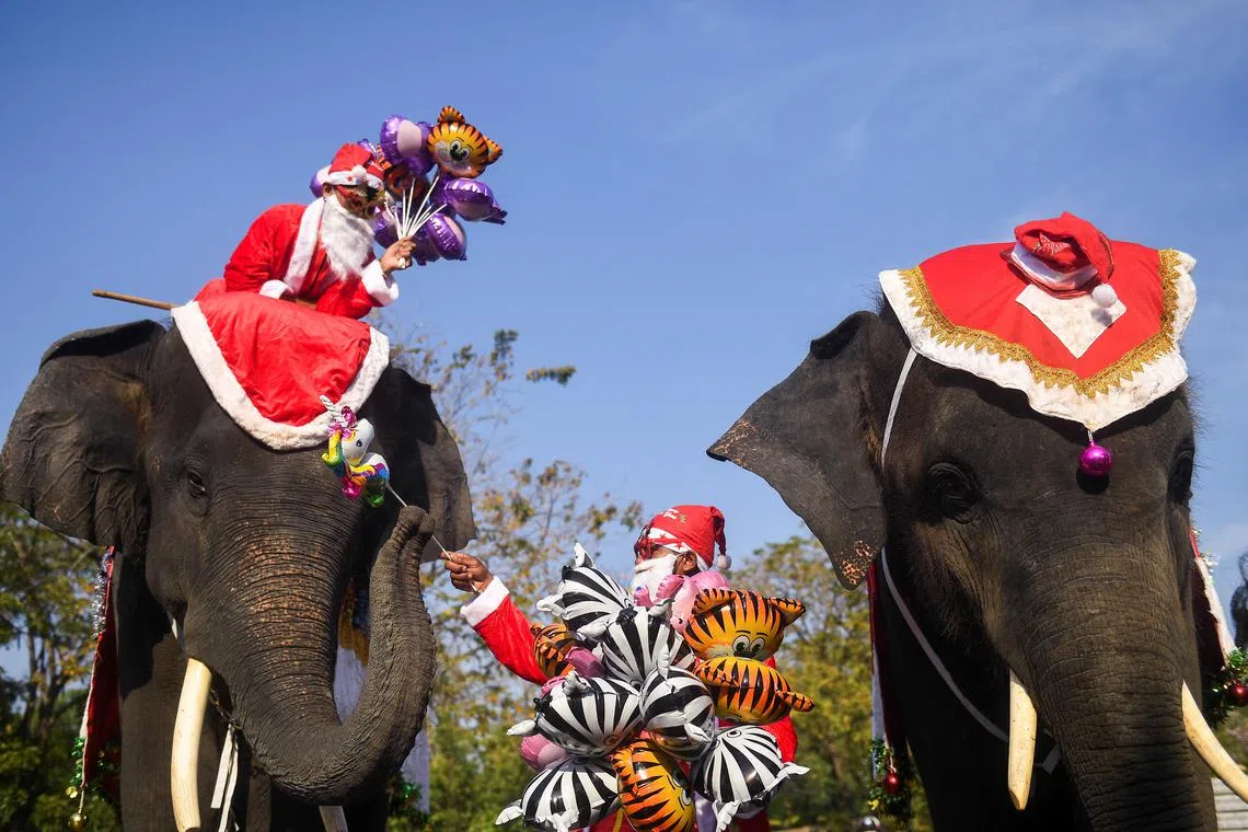  A mahout dressed as Santa Claus gives a gift to an elephant to be handed over to students ahead of Christmas celebrations at a primary school, in Ayutthaya, Thailand, December 23, 2022. 