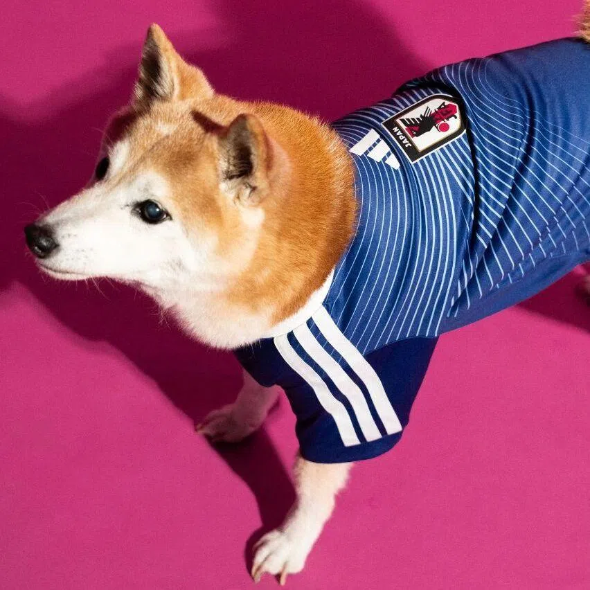 The Argentina and Japan World Cup kits for pets will be available in Singapore.