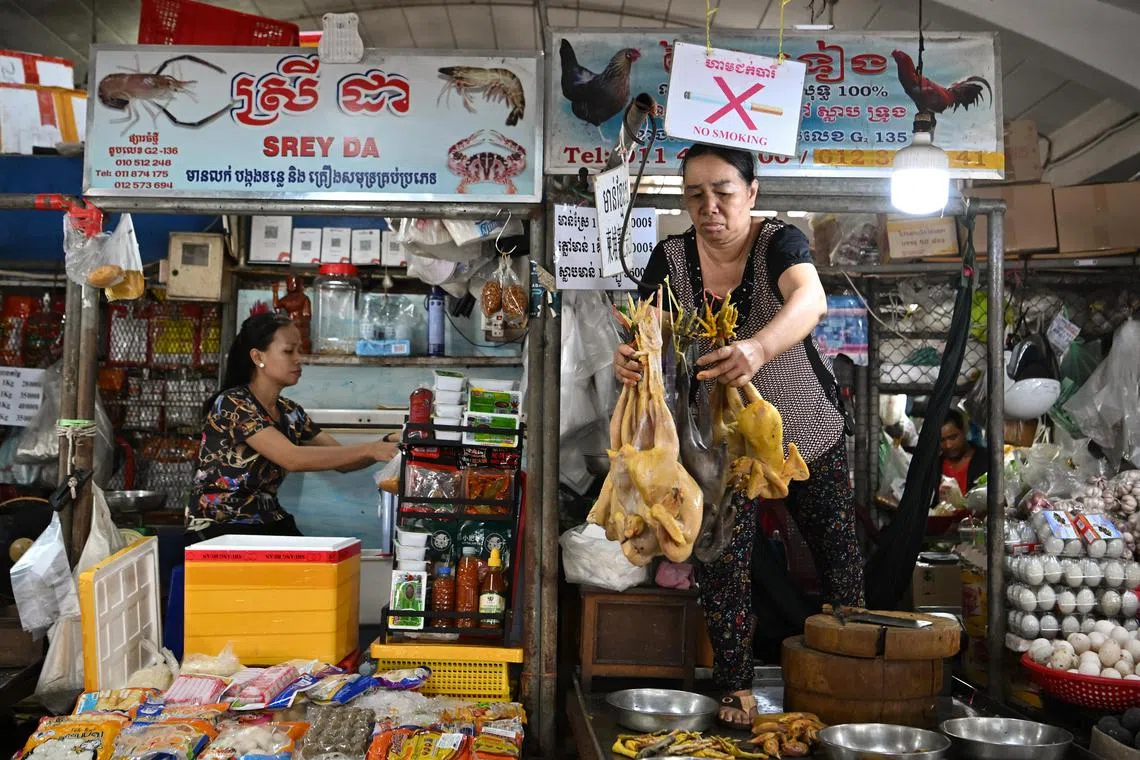Thailand is beefing up monitoring at the Cambodian border as H5N1 bird flu infections rises.