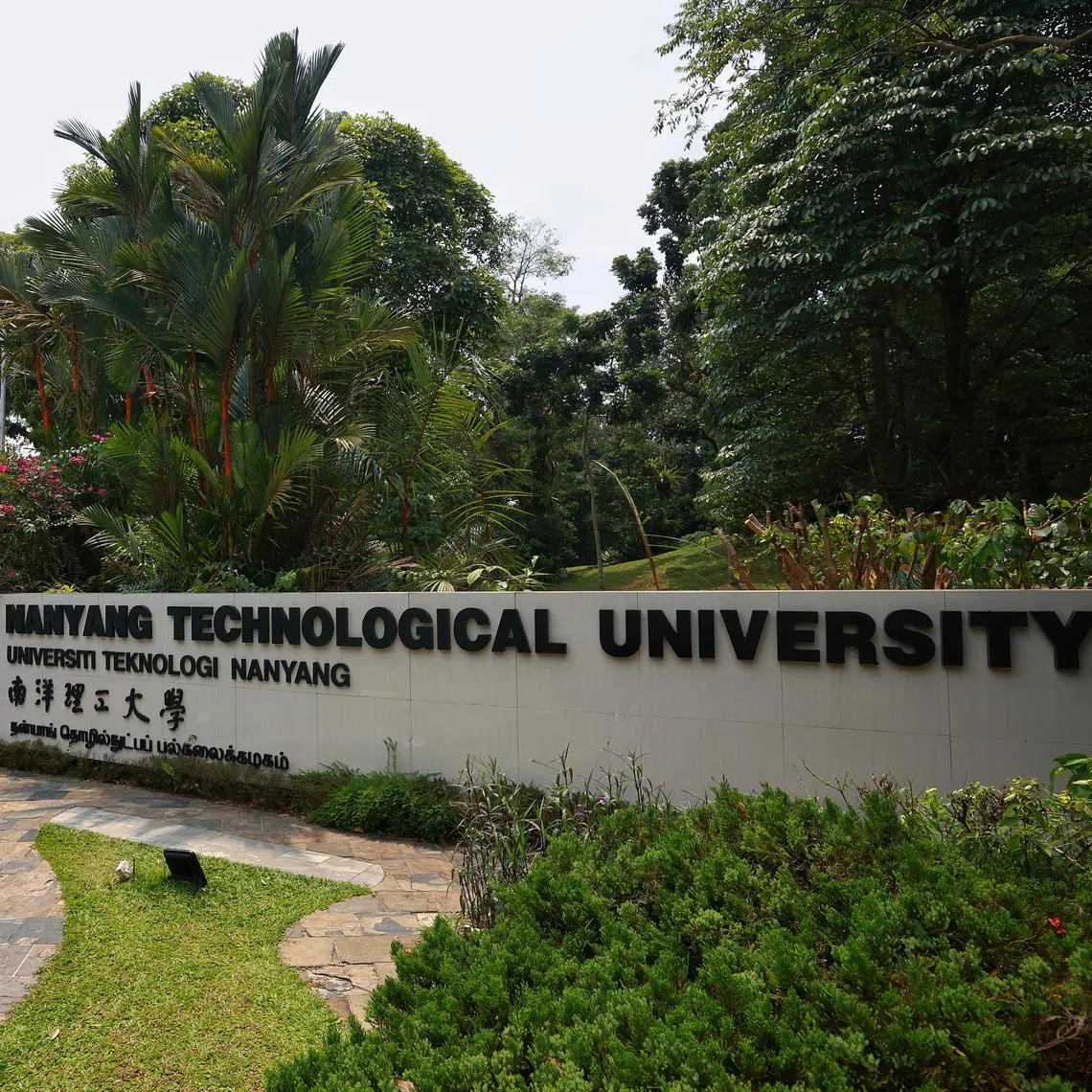 Students will also receive free access to a suite of premium Google AI tools.