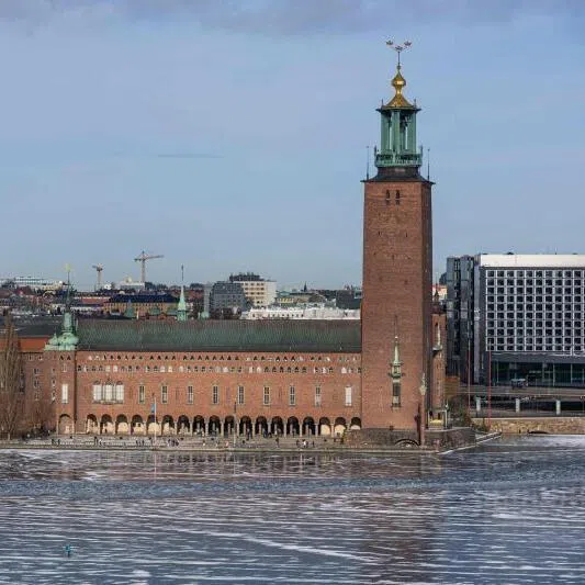 The minority rightwing government, backed by the far-right Sweden Democrats, announced in January that it would reduce the age of criminal responsibility from 15 to 13.