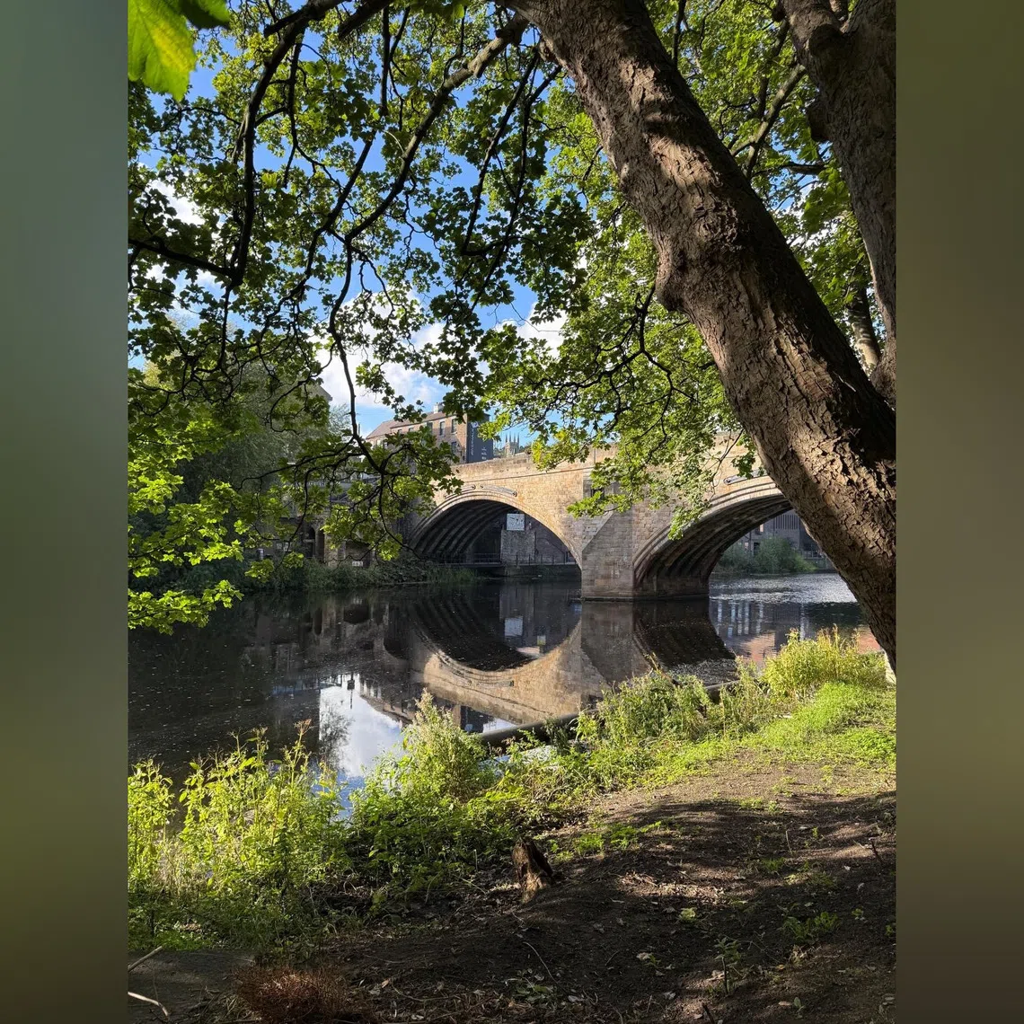 The start of a new season both in nature, and the writer's life, as her son enters university.