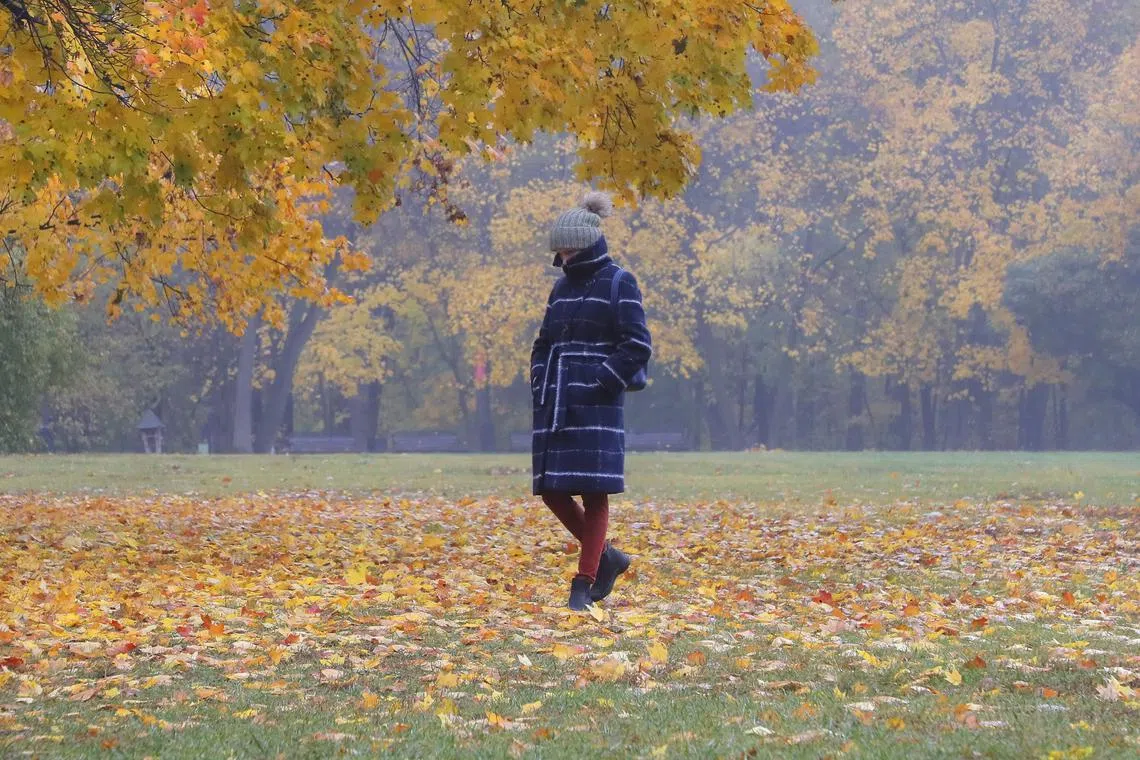 A woman walking at Tsaritsino park set in autumnal colors during a rainy day in Moscow, Russia, Oct 23, 2023. Temperatures in Moscow dropped to 7 degrees Celsius. 