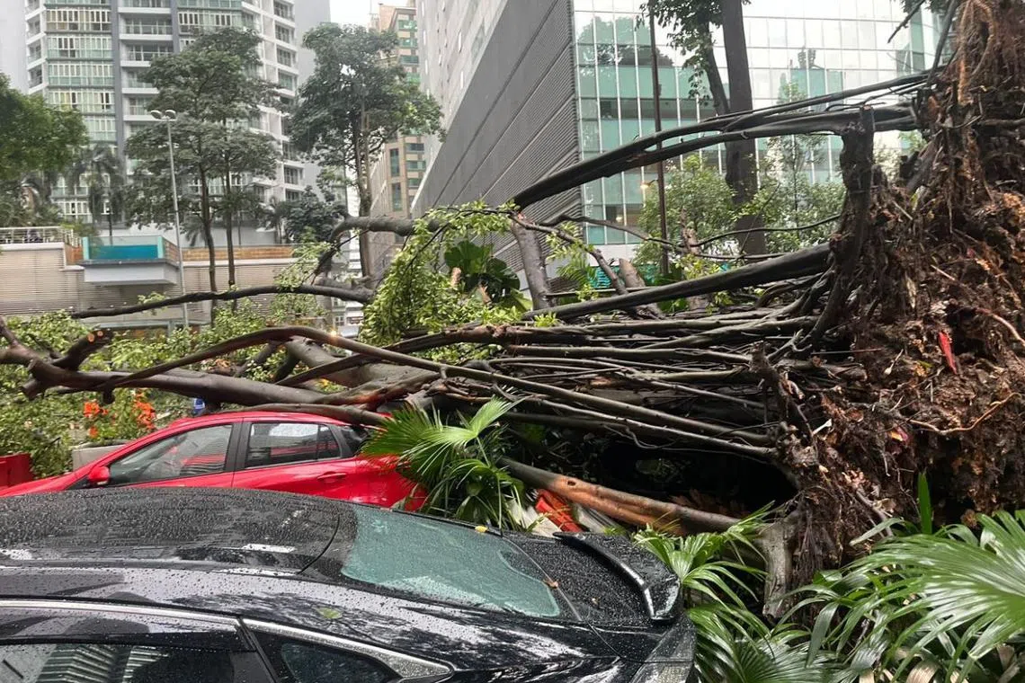 Several parked cars were damaged in the incident but there has been no word of any casualties so far.