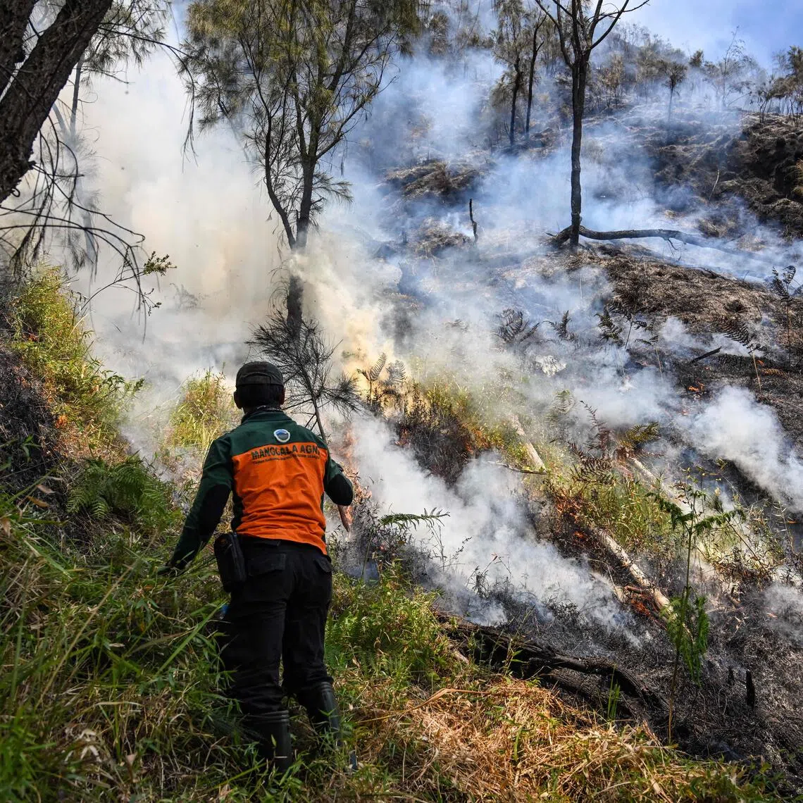 The wildfire that has swept through Mount Bromo National Park has destroyed more than 120ha of land.