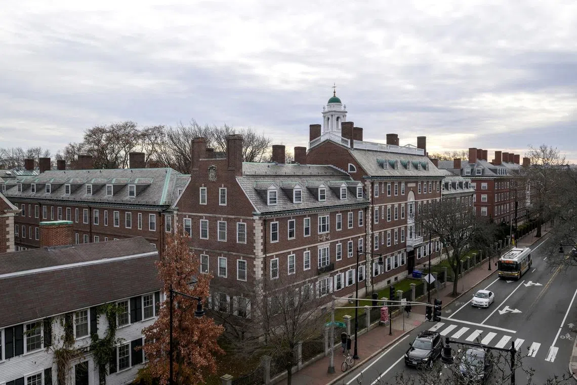 FILE PHOTO: A view of Harvard campus on John F. Kennedy Street at Harvard University is pictured in Cambridge, Massachusetts, U.S., December 7, 2023. REUTERS/Faith Ninivaggi/File Photo
