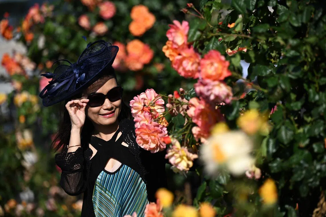 A racegoer inspecting flowers during the Melbourne Cup Day at Flemington Racecourse in Melbourne, Australia on Nov 7, 2023.  