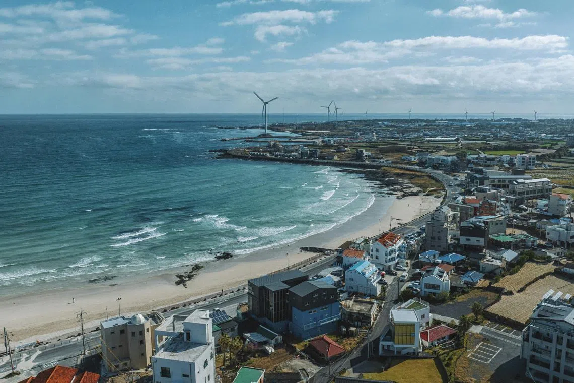 The 38 Vietnamese tourists disappeared during the final stop of their itinerary in South Korea's Jeju resort island.