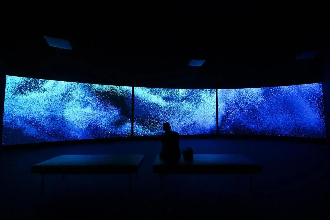 The large-scale installation Seeing Echoes in the Mind of the Whale allows visitors to experience how whales perceive their surroundings.