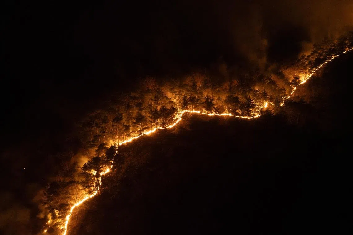 A wildfire sweeps through a mountain in Andong city, South Korea, on March 26, 2025.