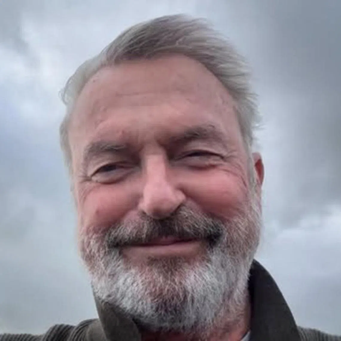 Sam Neill was treated with CAR T-cell therapy, which uses a disabled virus to genetically reprogram human infection-fighting T-cells.