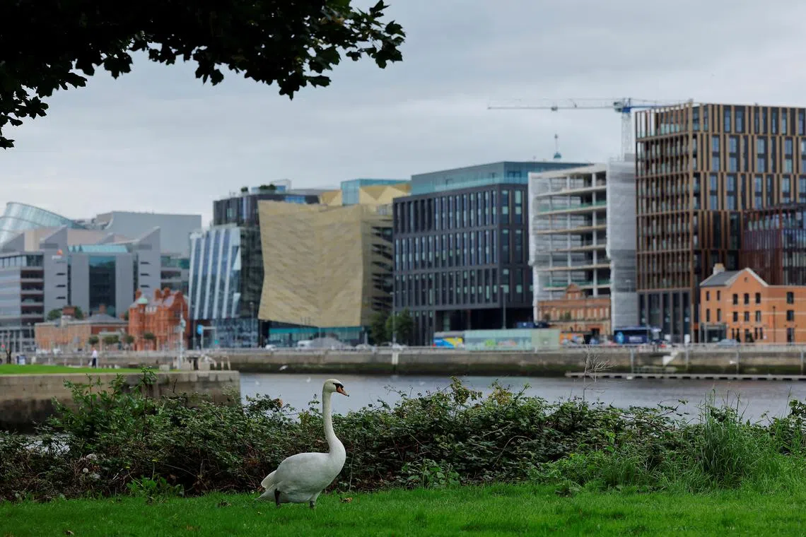 FILE PHOTO: A swan walks on grass as the Irish Financial Services Centre (IFSC) is seen in the background, including the Central Bank of Ireland, in Dublin, Ireland August 30, 2023. REUTERS/Clodagh Kilcoyne/File Photo
