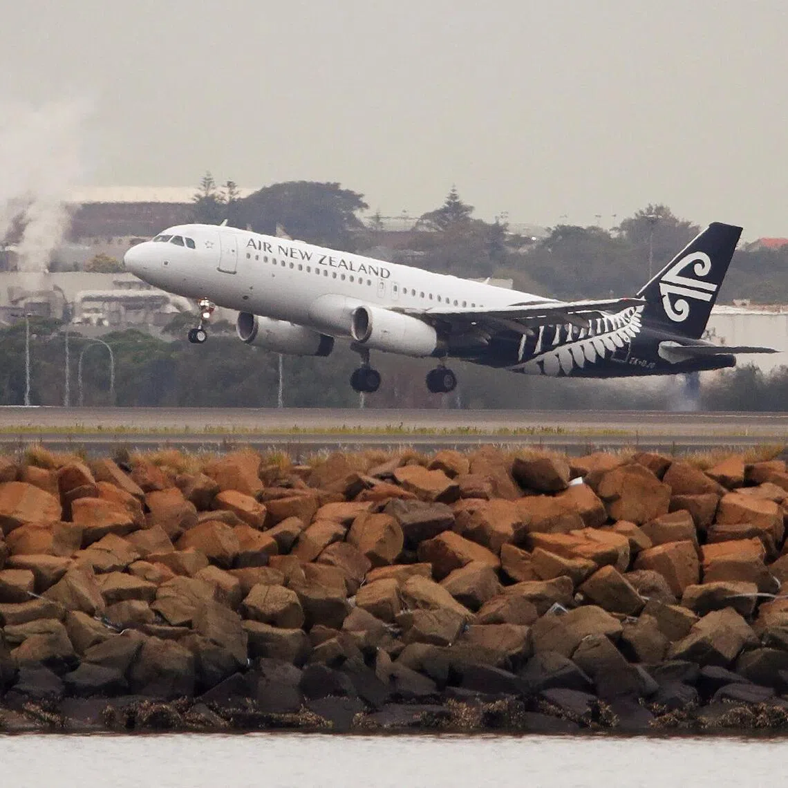 Air New Zealand will be cancelling flights mostly on domestic routes, but some international flights will be affected as well.
