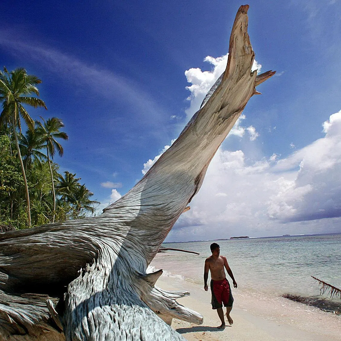 Tuvalu is home to just about 10,000 or so people scattered across nine small coral islands.