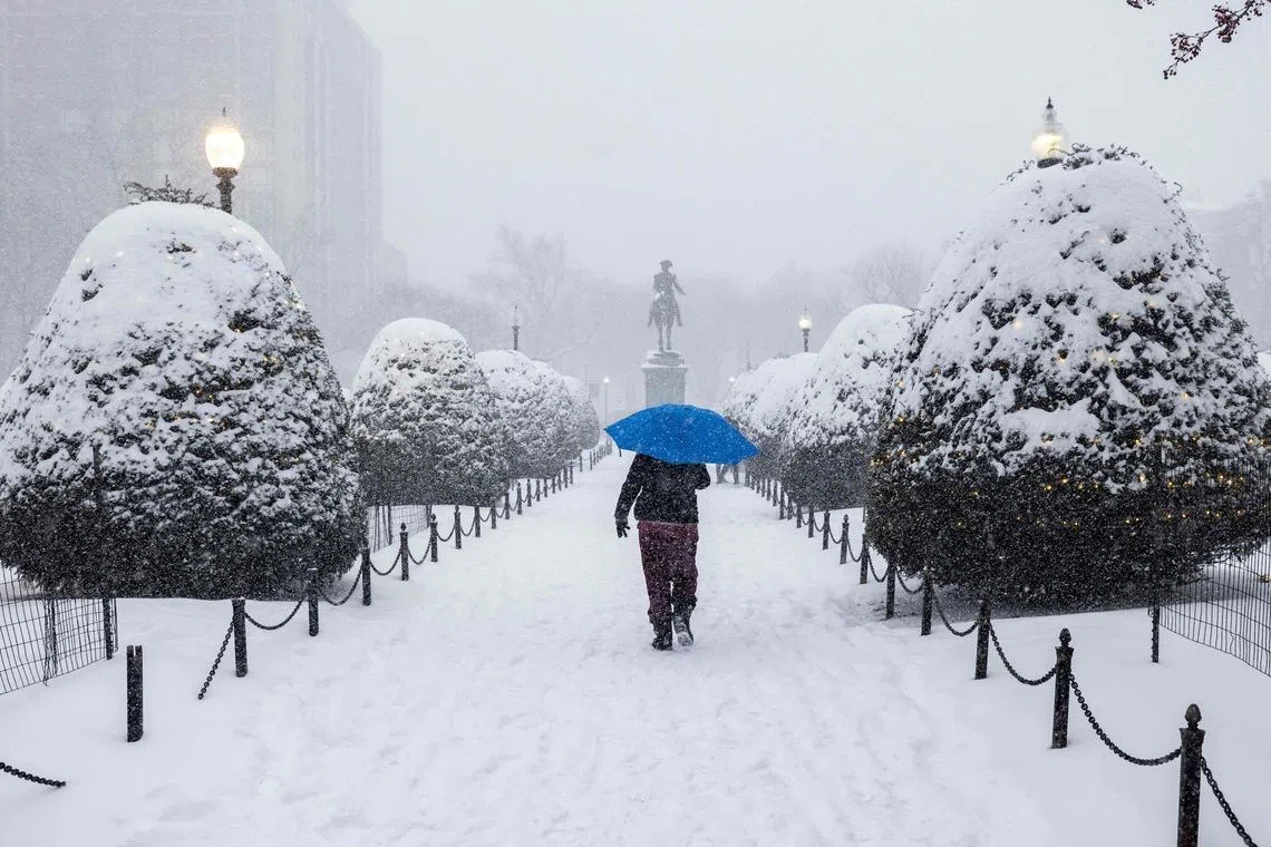 A person walking through Boston Public Garden during heavy snow on Jan 25, 2026 in Boston, Massachusetts. 
