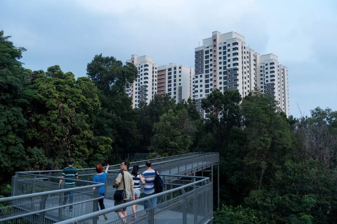 PM Lee Hsien Loong, a photography buff, also shared seven photographs he took that have not previously been released, to mark the digital milestone.