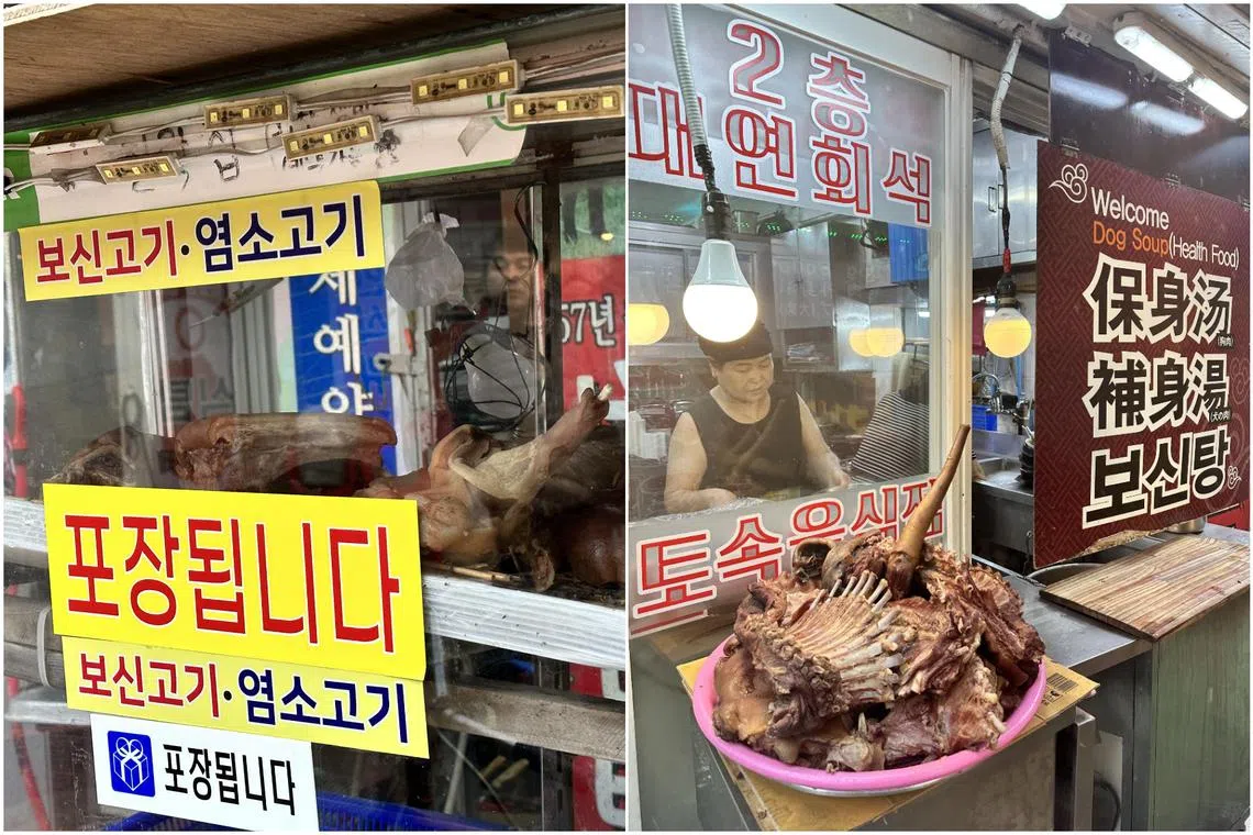 Restaurants serving dog meat are still common in South Korea’s rural provinces., but only a handful operate in the heart of Seoul.