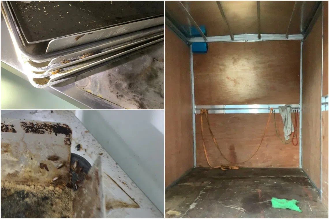 SFA said it has directed iBread to rectify the lapses and improve its food safety practices and the cleanliness of its premises.