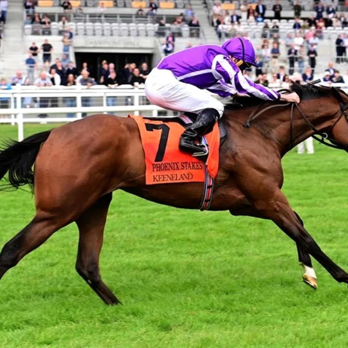 Sun Goddess - Sun Goddess (Ryan Moore) winning the Group 1 Phoenix Stakes (1,200m) at The Curragh on Aug 9.

PHOTO: RACING AND SPORTS