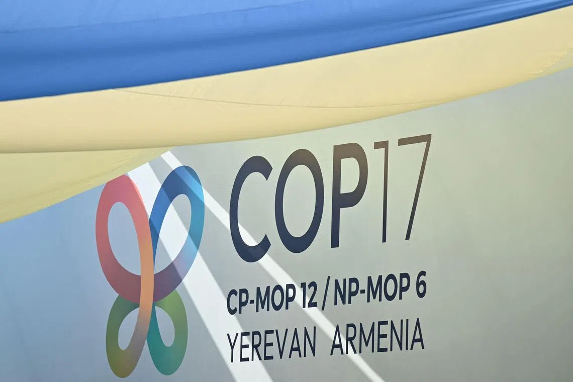 The UN biodiversity conference in Armenia will run until Oct 30.