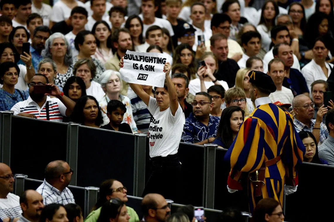 FILE PHOTO: A PETA activist holds a banner reading in English: \"Bullfight is sin\", during the weekly general audience in Paul VI hall at the Vatican, August 7, 2024. REUTERS/Guglielmo Mangiapane/File Photo