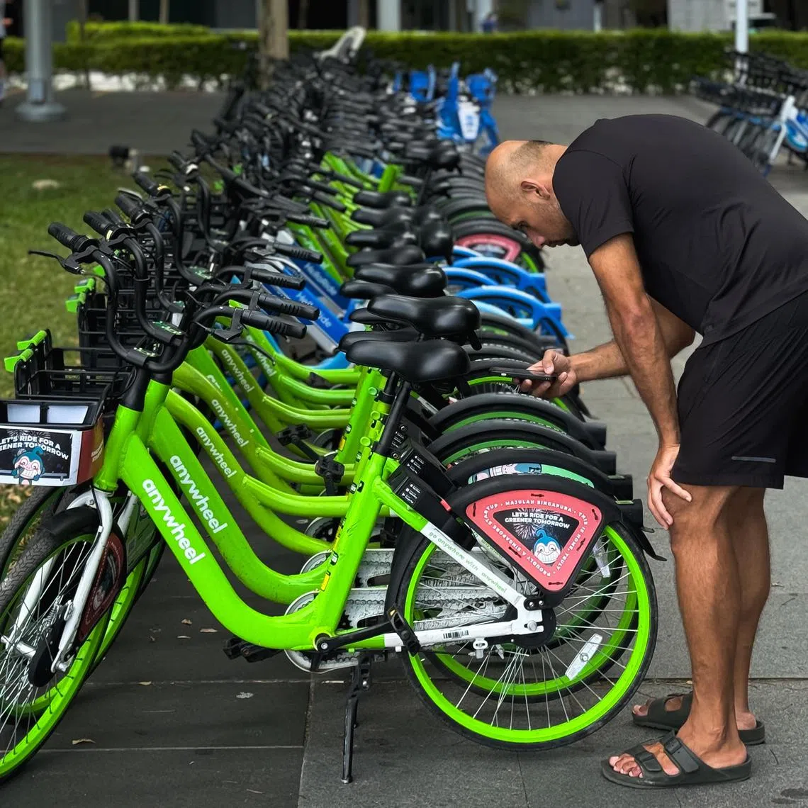 Anywheel (green) and Hello Ride (blue) bike-sharing bicycles at the Promontory at Marina Bay, March 27, 2025.