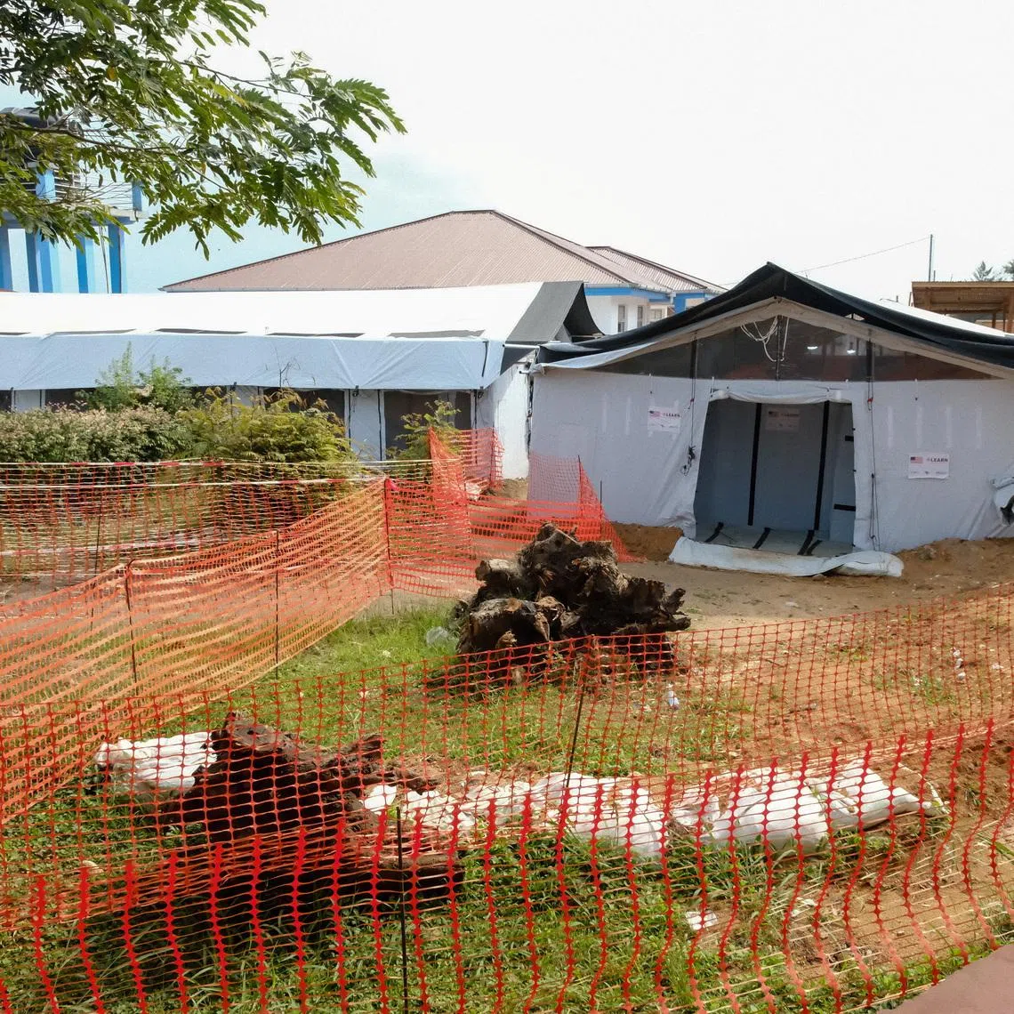Over 800 cases of the rare Bundibugyo strain, for which there is no proven treatment or vaccine, have been reported in Congo, 192 of them fatal.