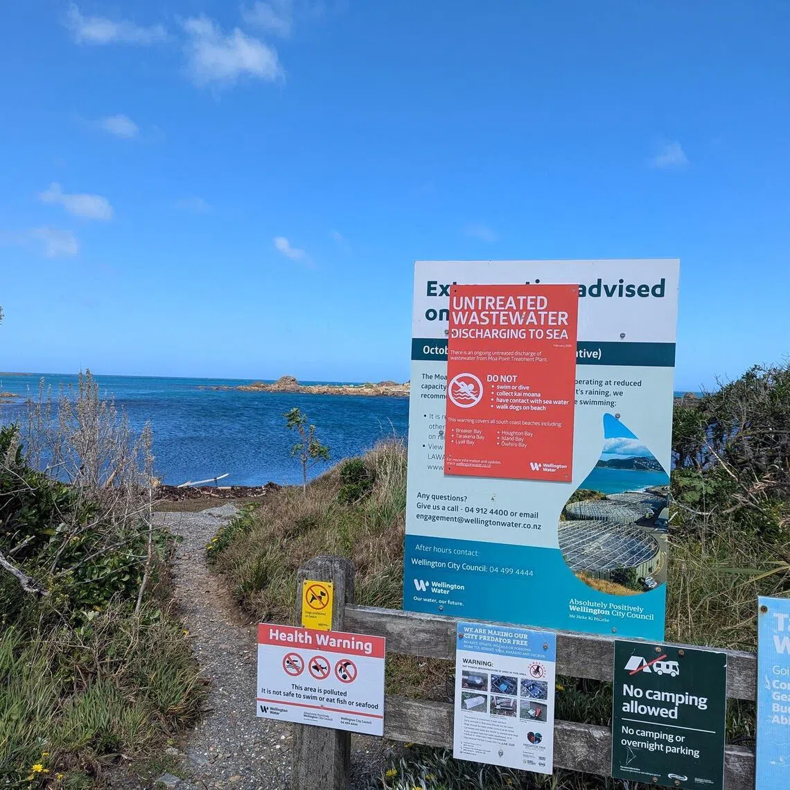 The rocky shores to the west of Moa Point are popular among divers spearfishing or collecting prized paua and crayfish. This photo was taken on Feb 20 at Moa Point beach.