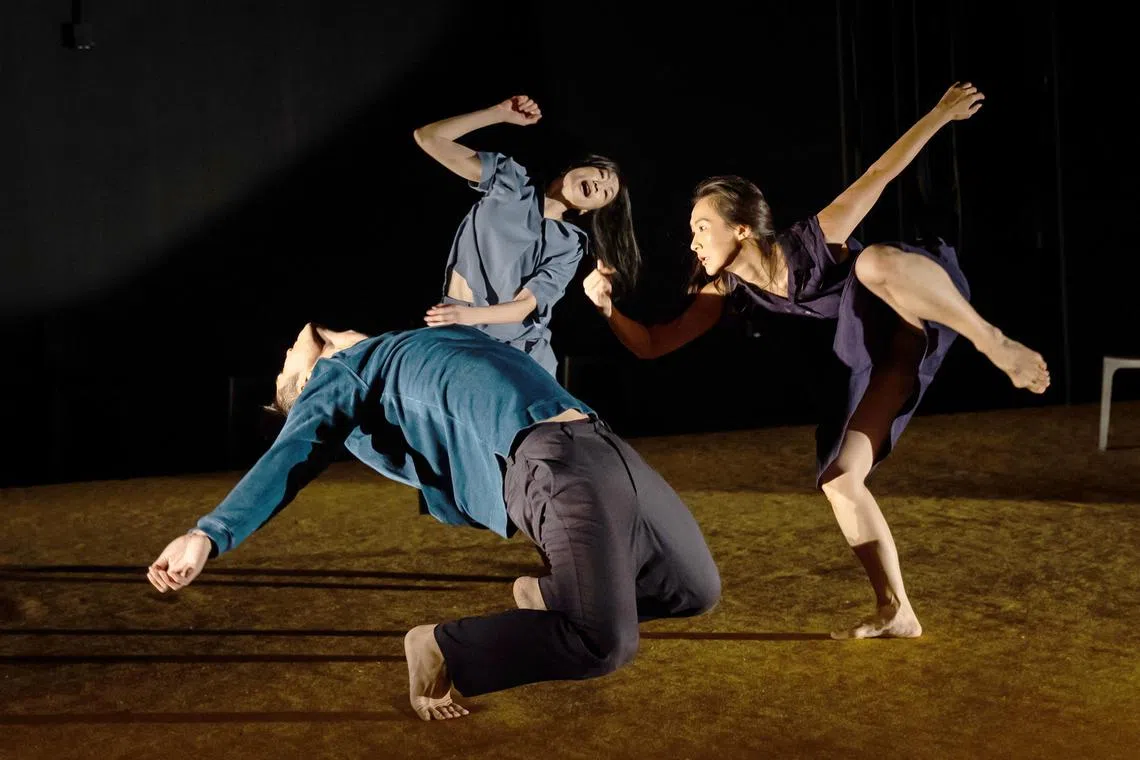 mqdance25 - Dance A Dance From My Body



Source/copyright: Bernie Ng/ Esplanade - Theatres on the Bay
