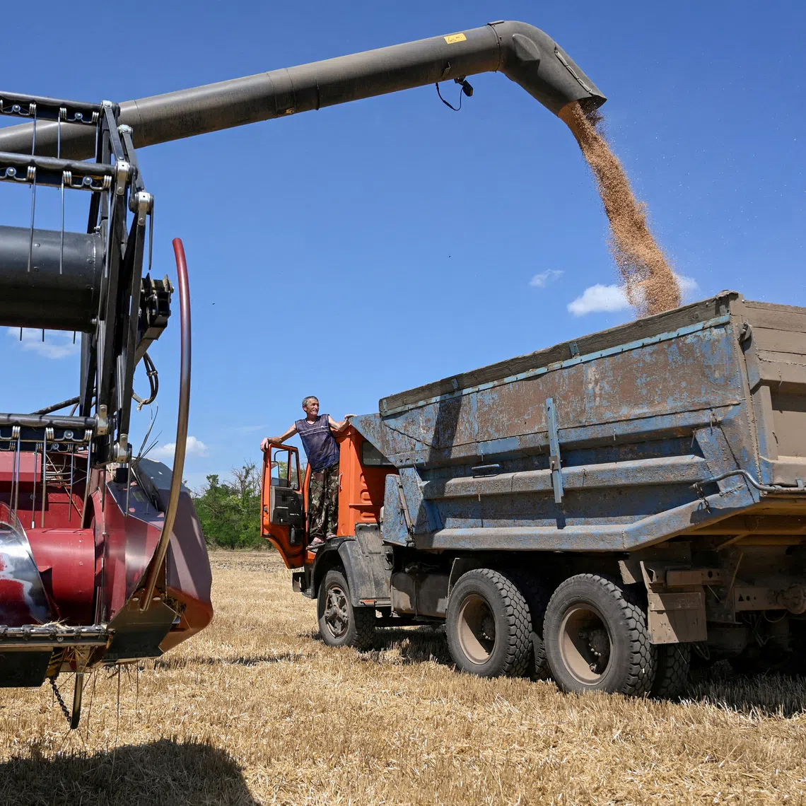 FILE PHOTO: A combine loads a truck with wheat during harvesting in a field in the Rostov region, Russia, July 14, 2026.  REUTERS/Sergey Pivovarov/File Photo